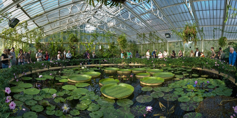 Kew Foundation appoints McCann London as first marketing and comms agency to sustain future of the charity