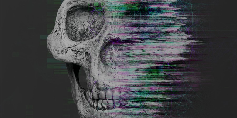 Survival of the fittest: From media agency to data consultant