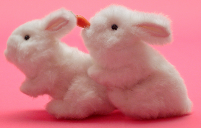 lovehoney ltd directors