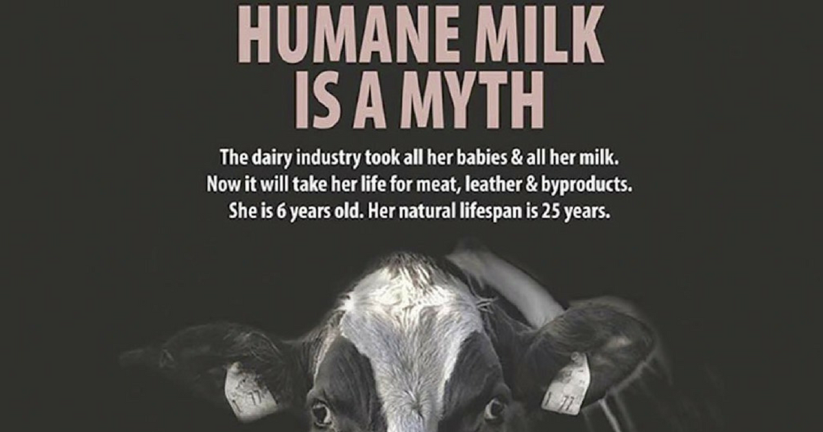 Vegan Ad Claiming 'Humane Milk Is A Myth' Cleared By Watchdog Despite